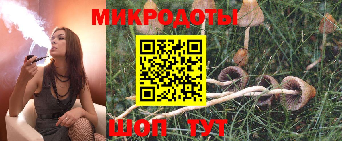 Галлюциногенные грибы Cubensis  Вход с VPN  Дедовск 