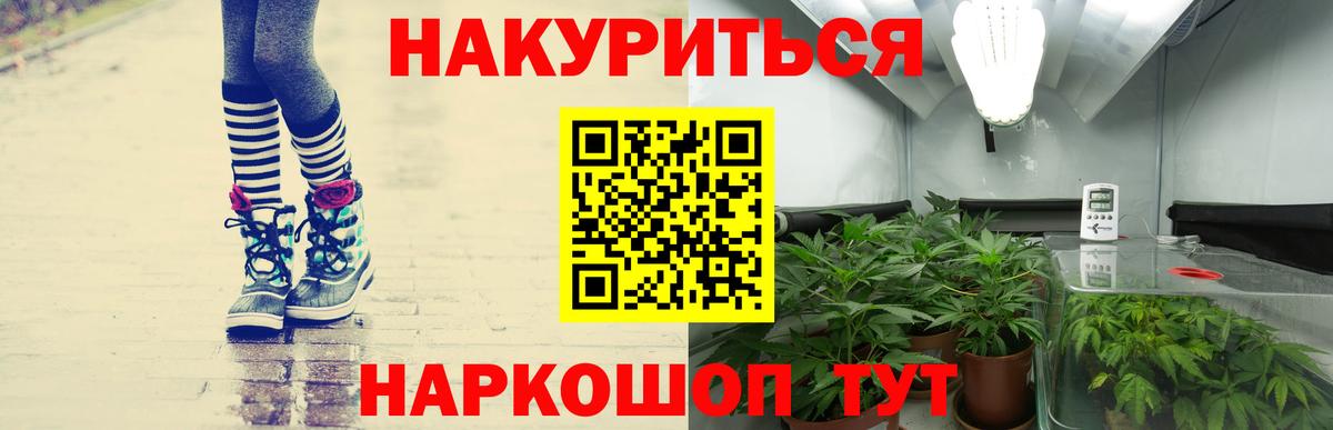 Бошки Шишки VHQ Дедовск